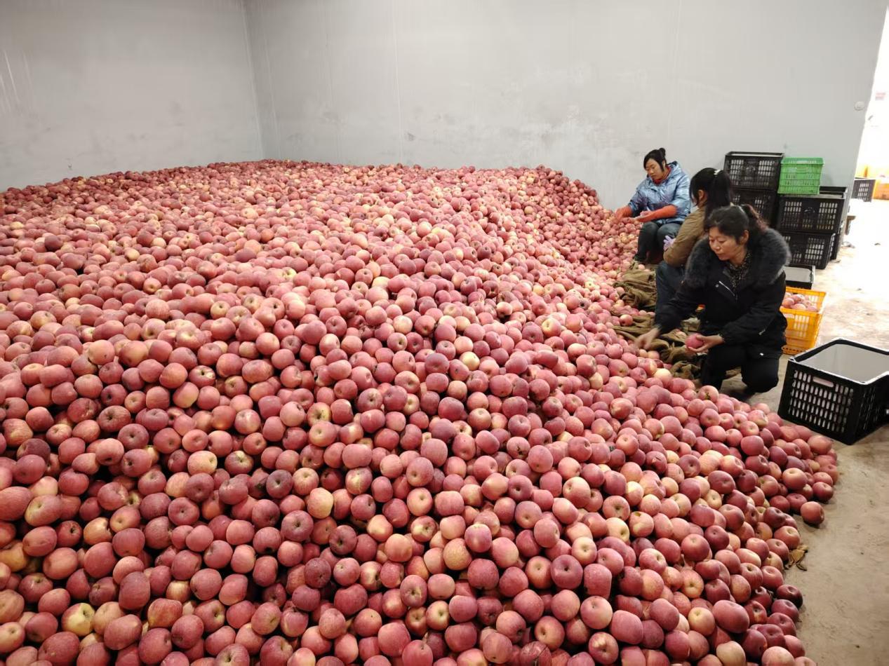 dde4d6ff79f6558a35ddaab997911a0