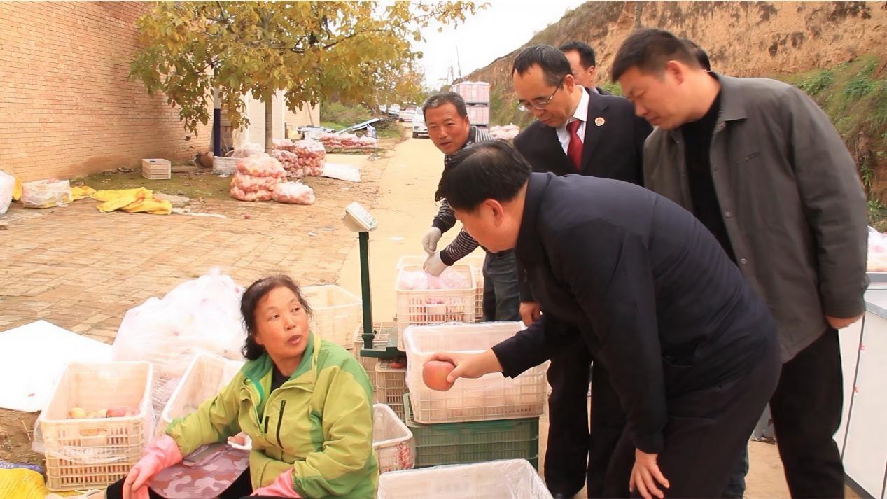 微信图片_20251030151748_147_382