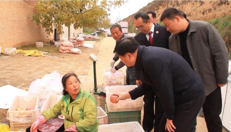 微信图片_20251030151748_147_382