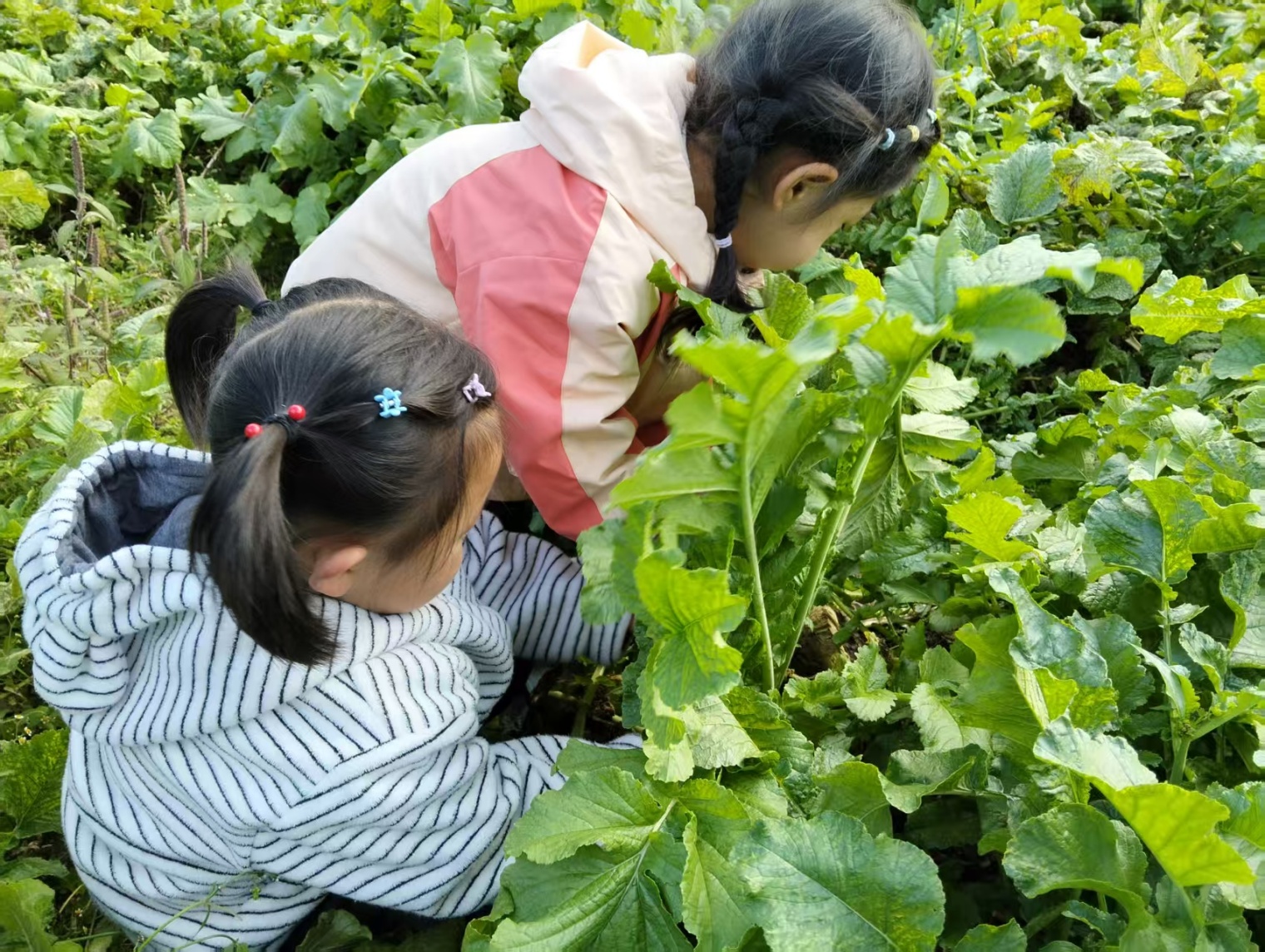 c359f7824346ce328117f00d5a92818