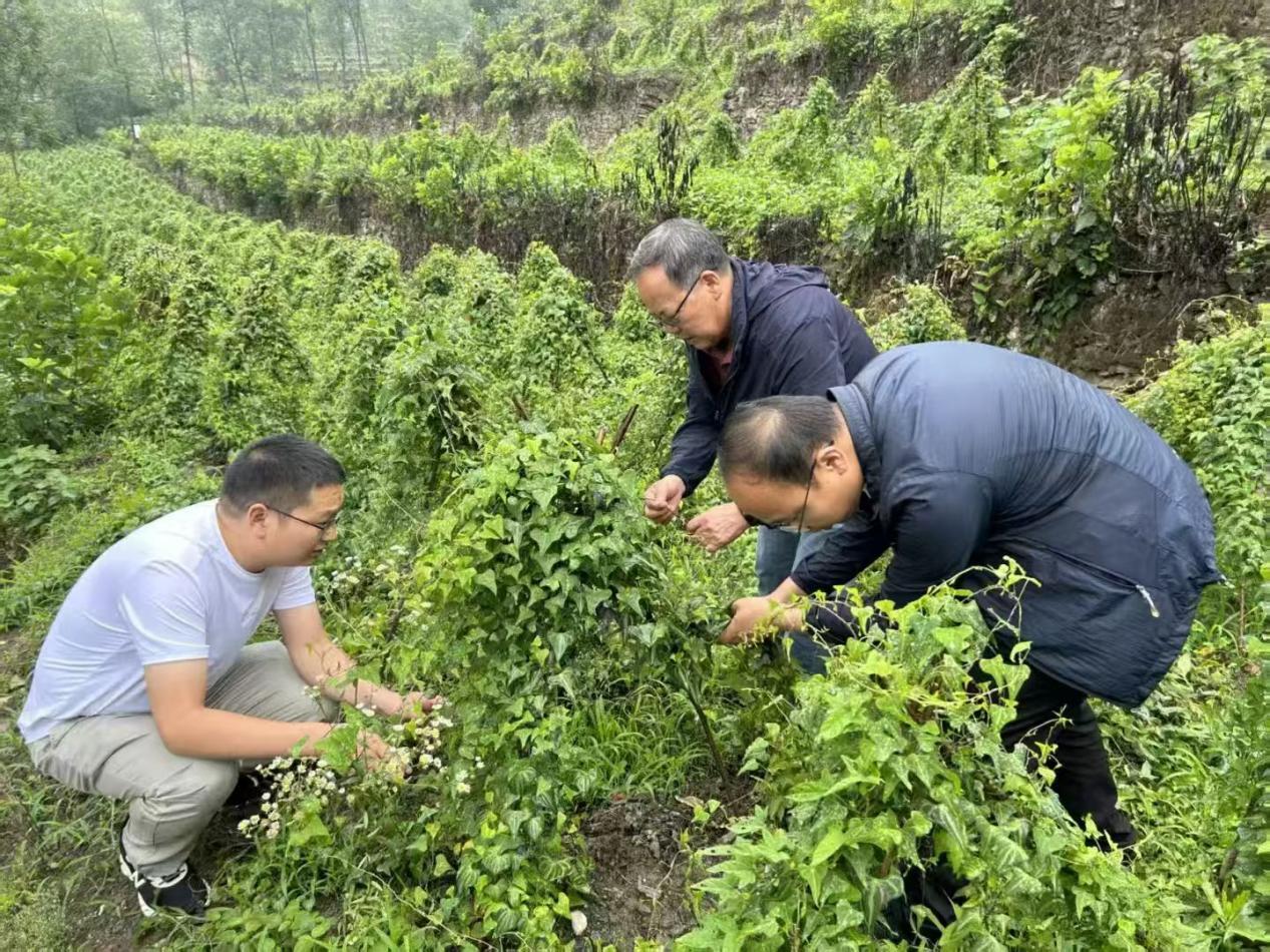 9e3f475023fad32923398e81c0ca6c0