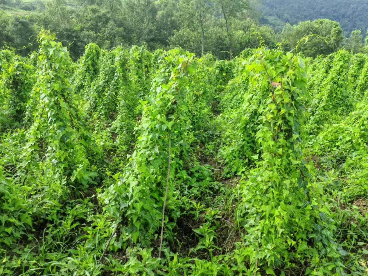 6a4f4d51237d3c7f0fb7be8ab3a623f