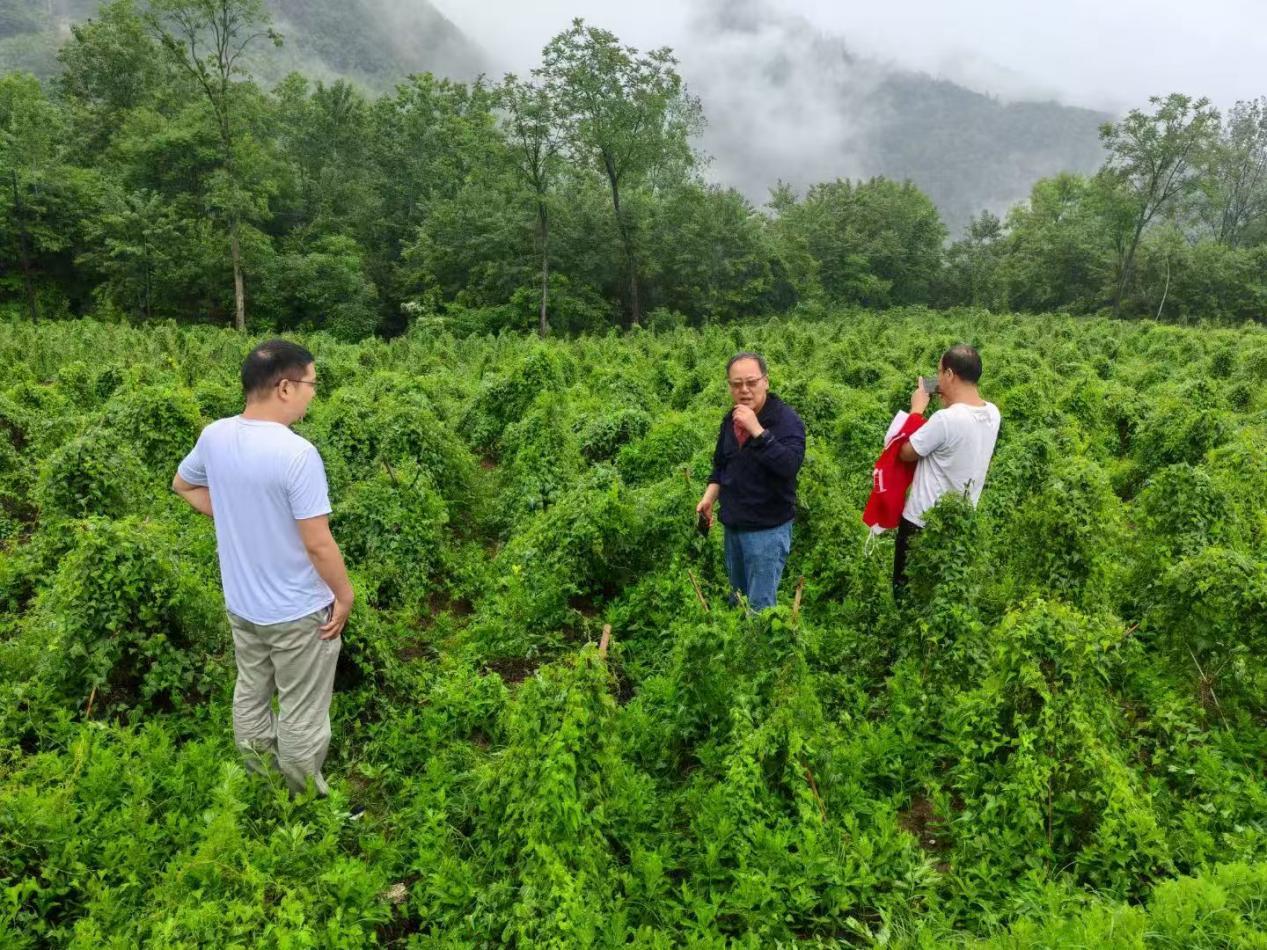 9188ae7a2f5cffeb112d937dfd06d85