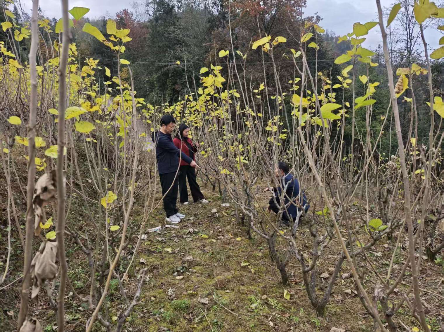 f65a2b8c5aeba356b11e3b258436db88