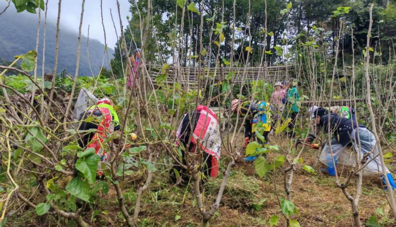 fb06093e5a28d258ebb6a3d385e13fd2