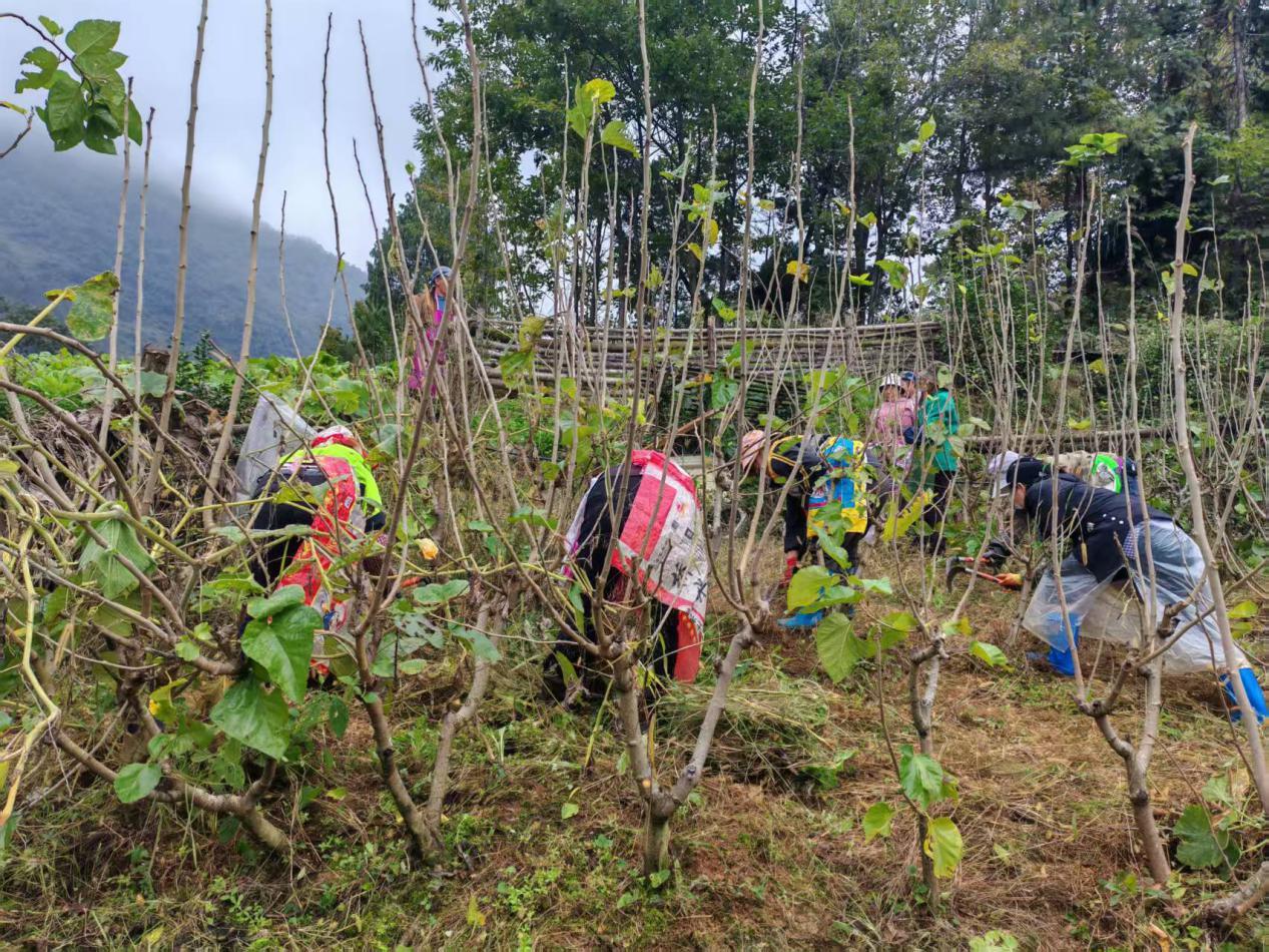 fb06093e5a28d258ebb6a3d385e13fd2