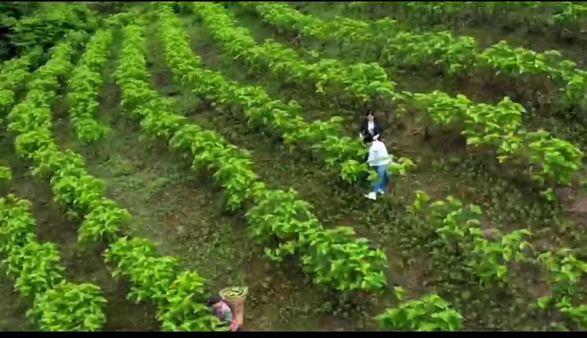 1184534fbe30a3d859f6c19c7c676aeb