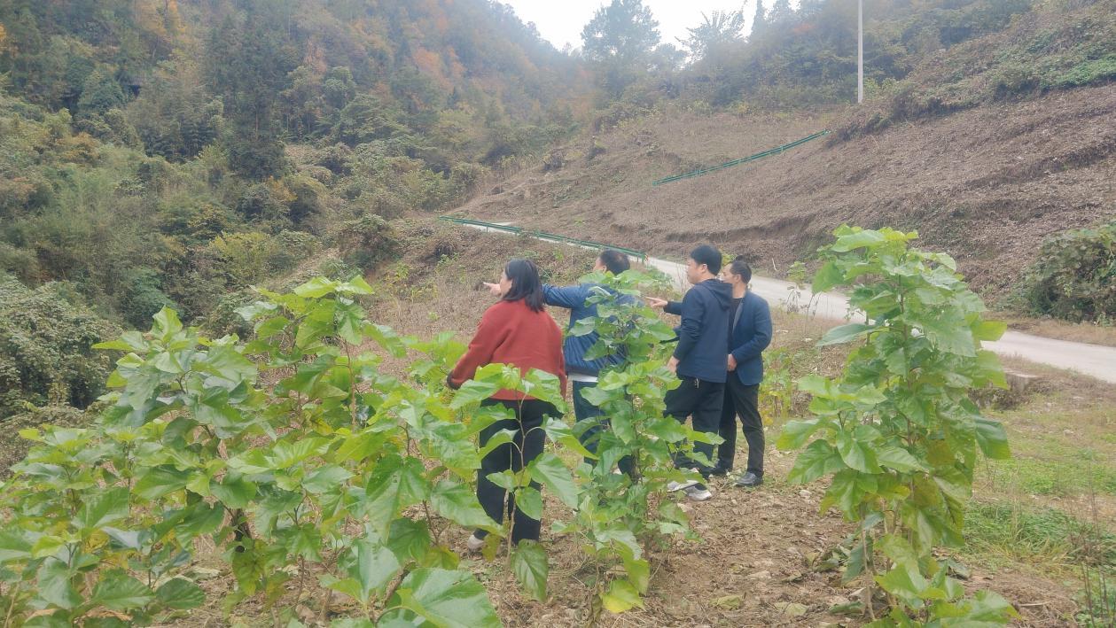 331e34f4d87d5c1f0a474e1d1315a571