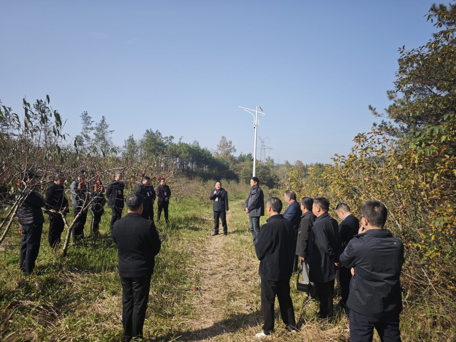 视察江河村产业园