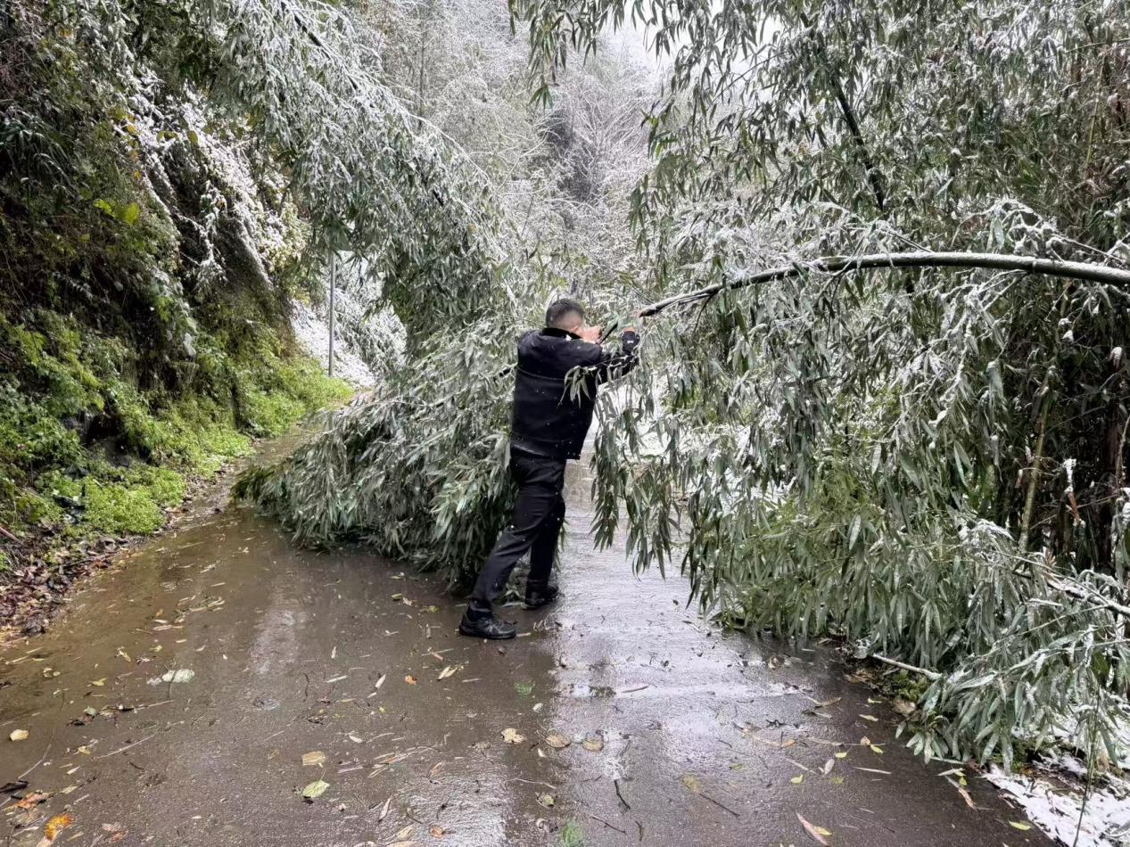 0c38c33dcf0e6255e1f38a813e068952