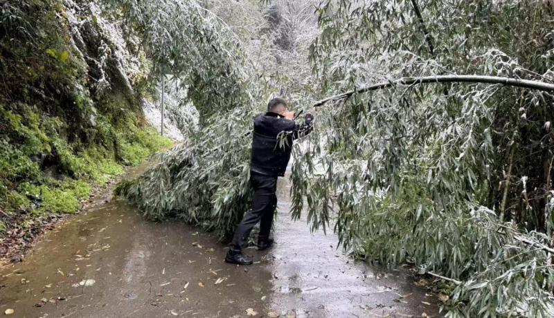 0c38c33dcf0e6255e1f38a813e068952