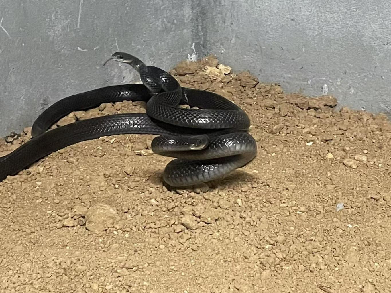 微信图片_20251119110622_102_162