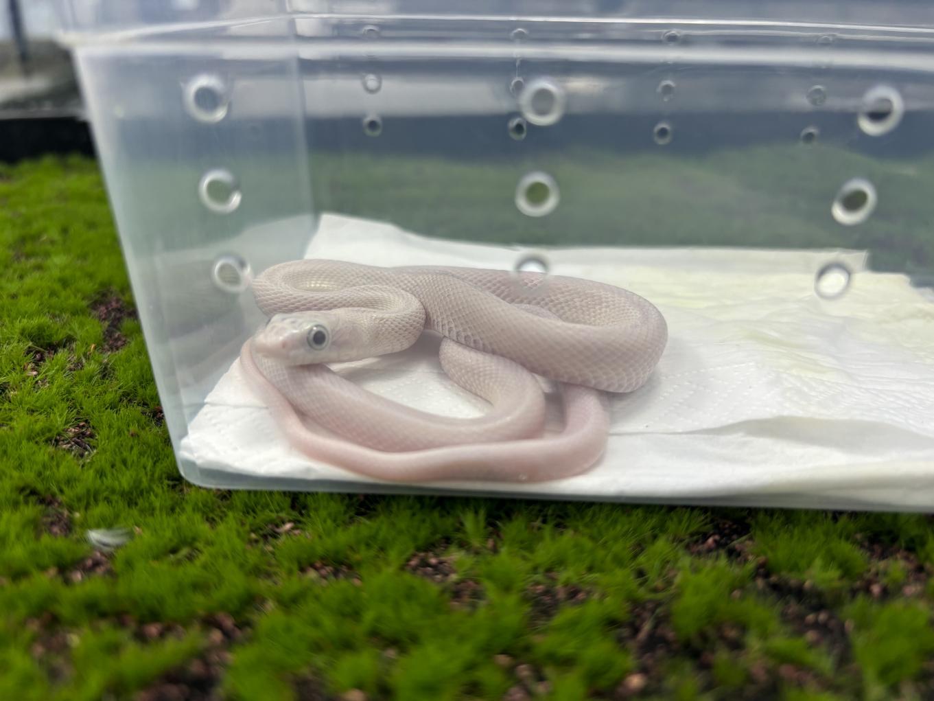 微信图片_20251119135252_68_33