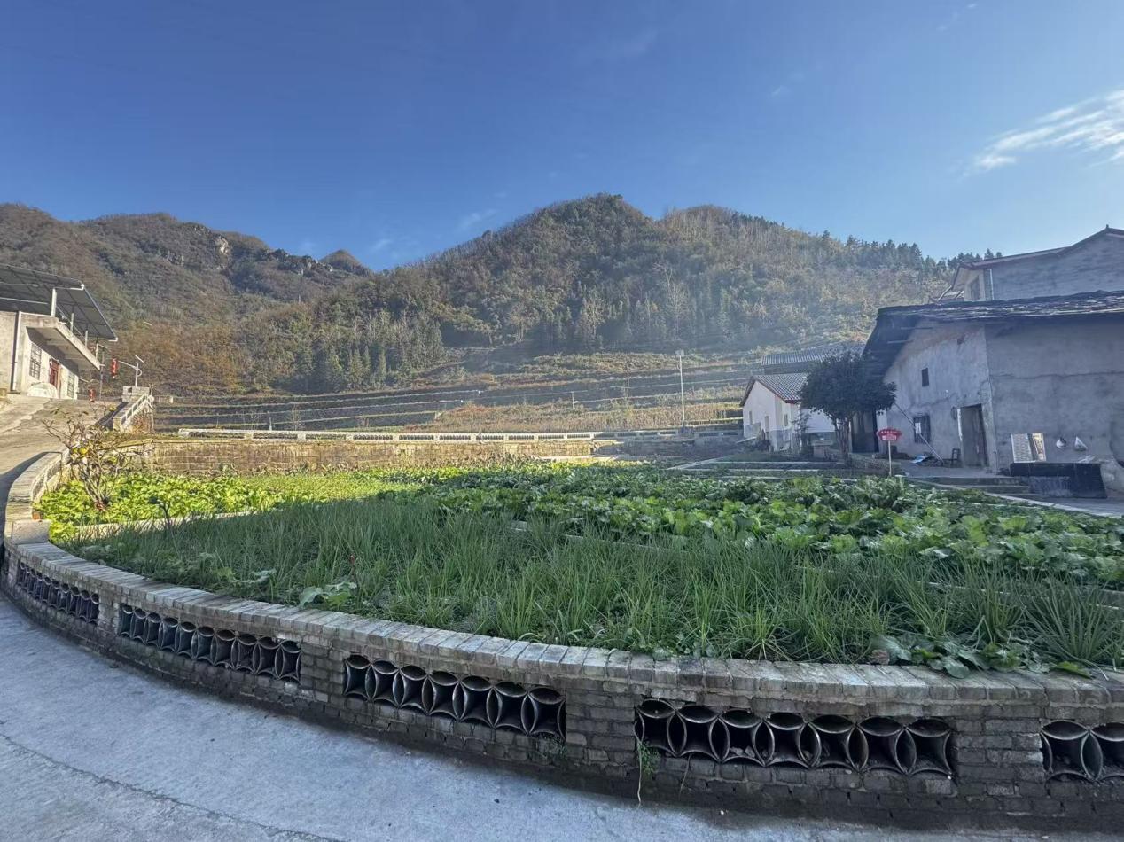 511aaa3a0b600c59f3002c6ac30a046