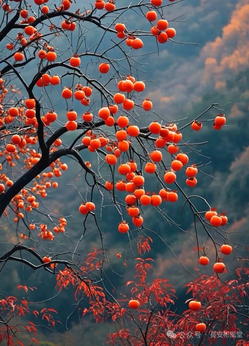 微信图片_20251205142259_665_2