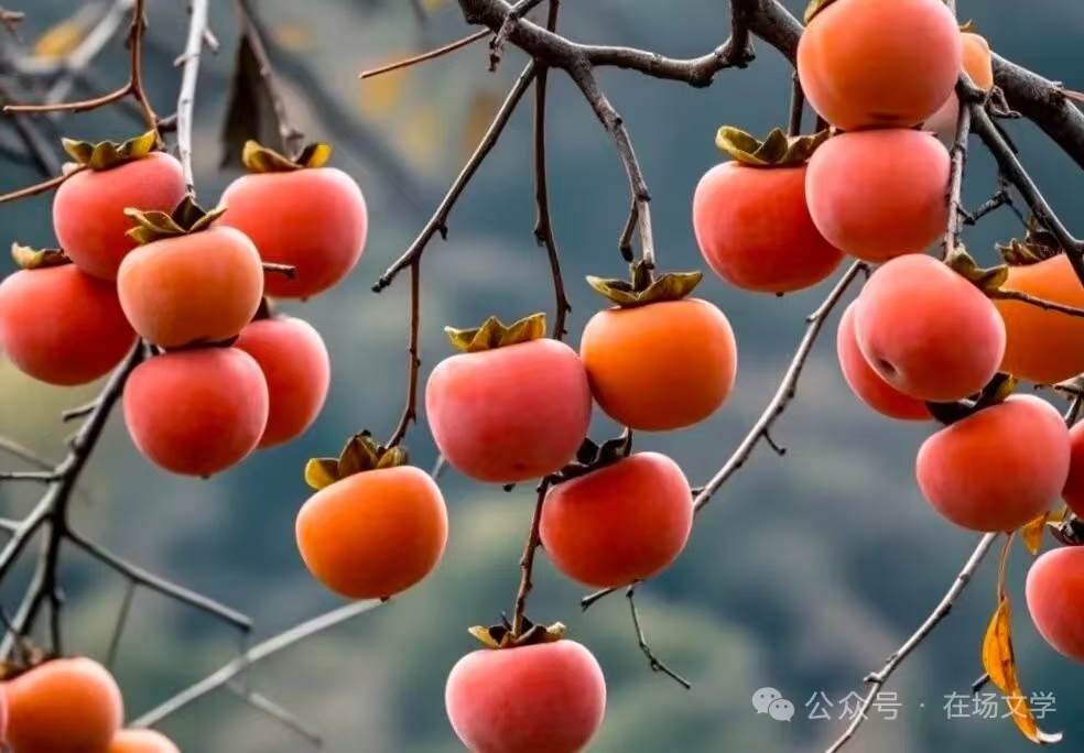 微信图片_20251205142315_666_2