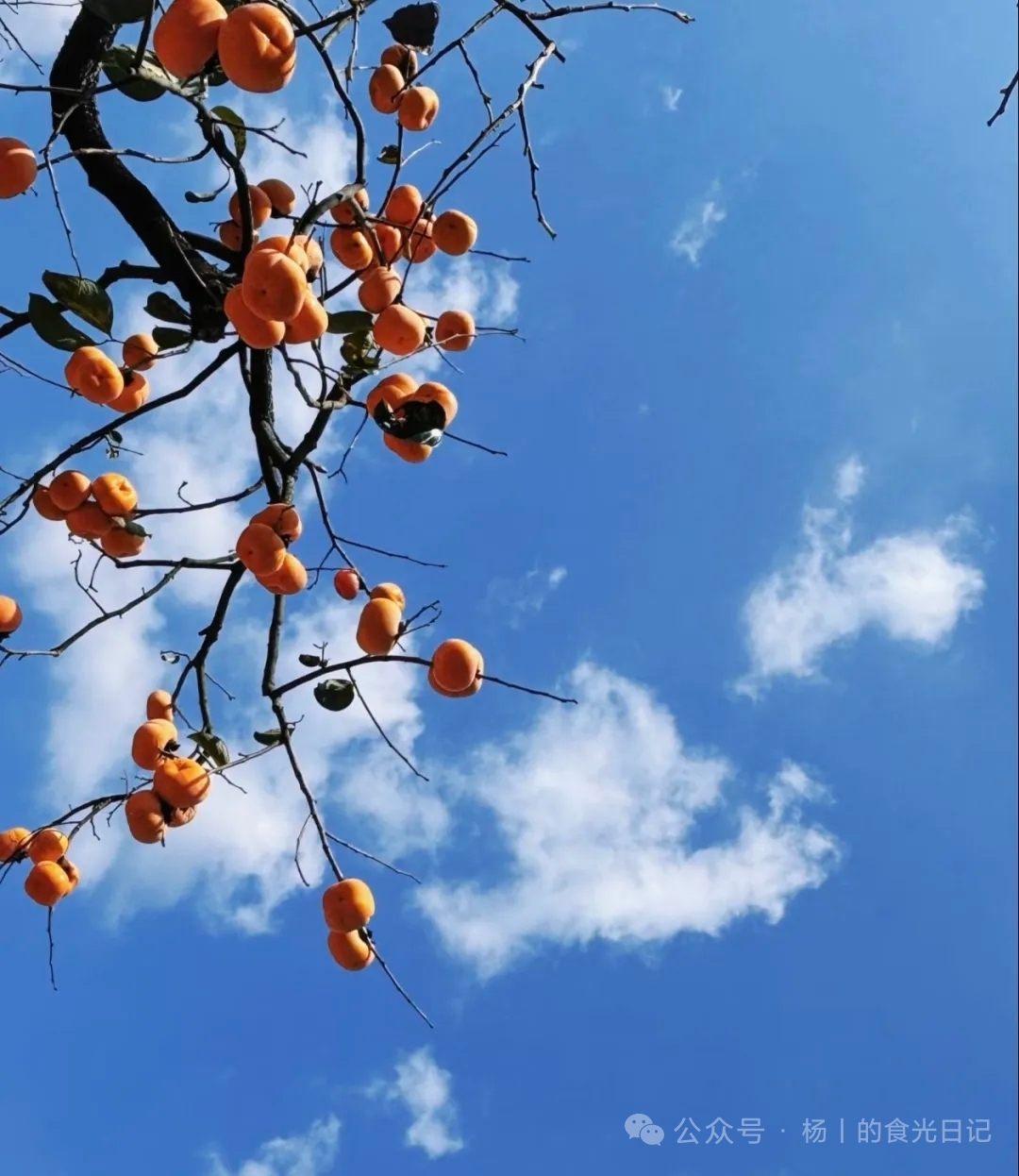 微信图片_20251205142322_667_2