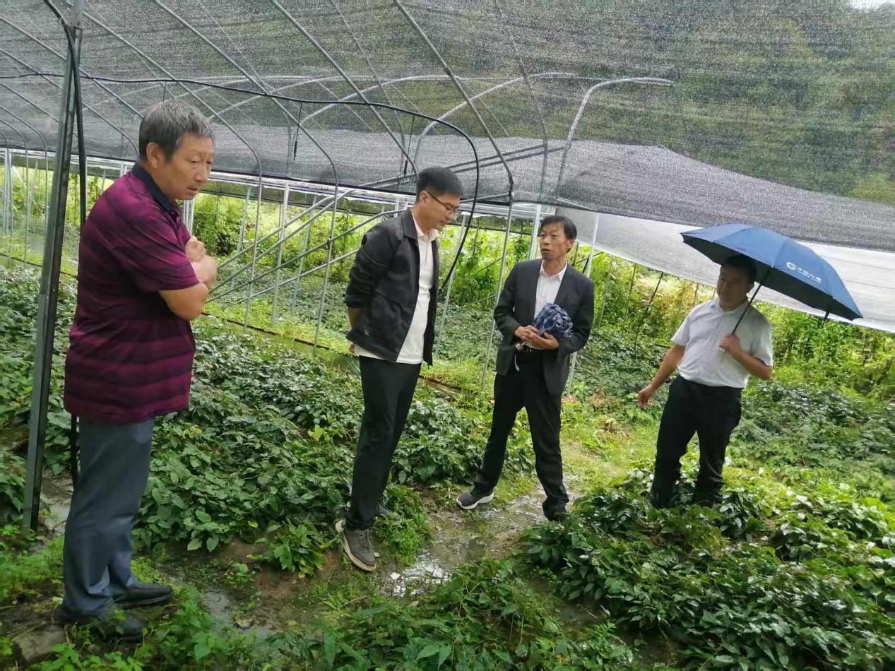 1f08772909d284228e17891d3d51f8a3