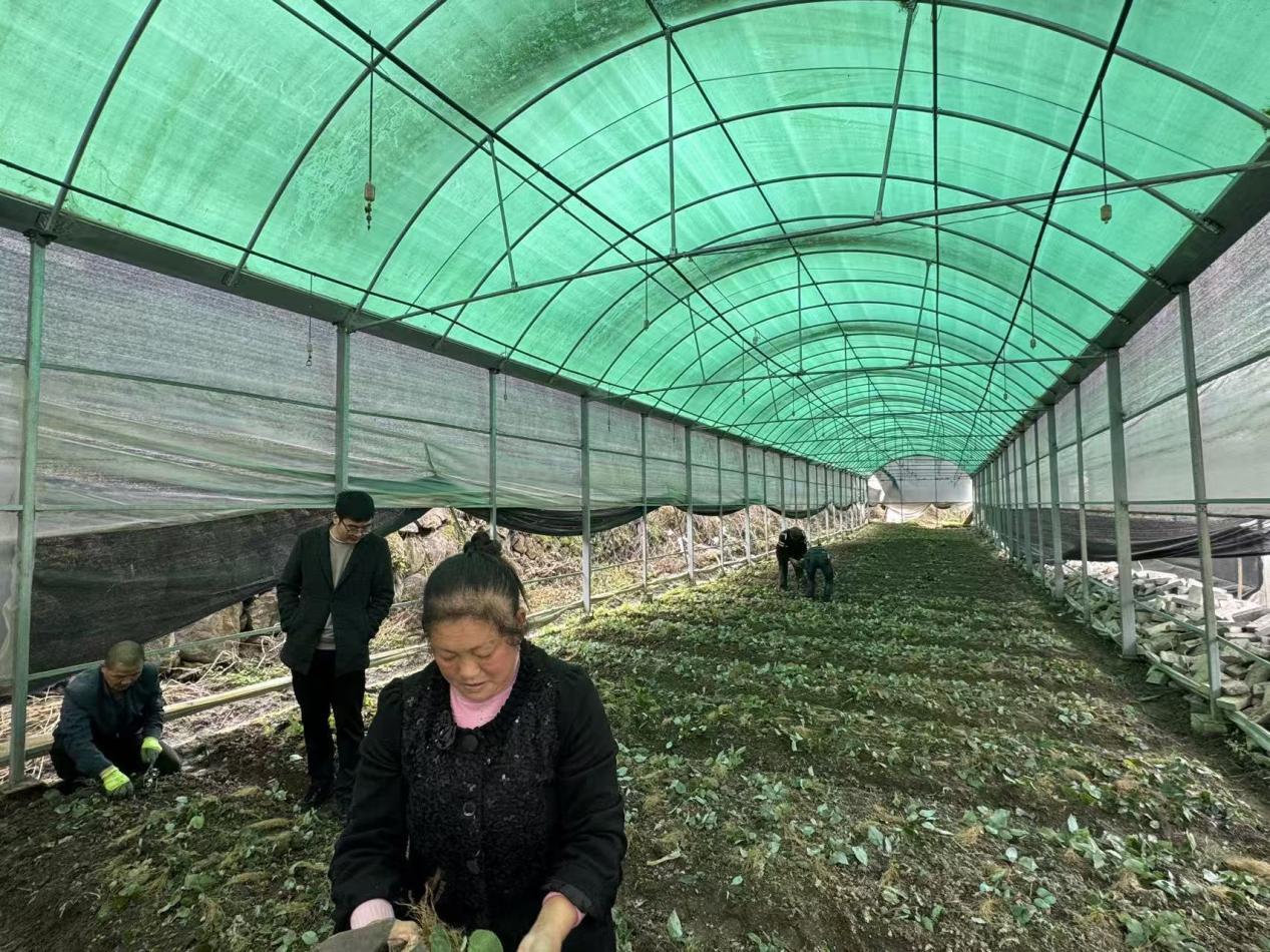 75f0f8c7afe3decf1cfa2878485a547c