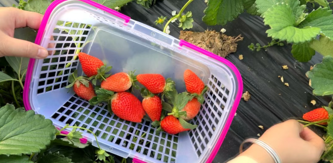 2f8c9ea72325ad0338caa2966b7e7c8f