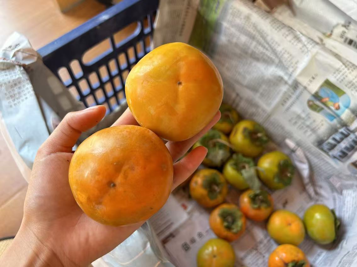 3ffcfa86e9e9eb019090cc3fb35a1c8