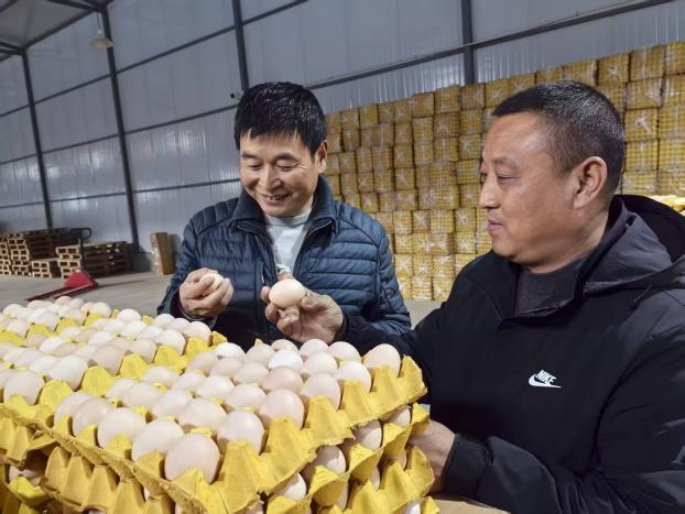 e96afe1139fa239d2ea73fba213e8af1