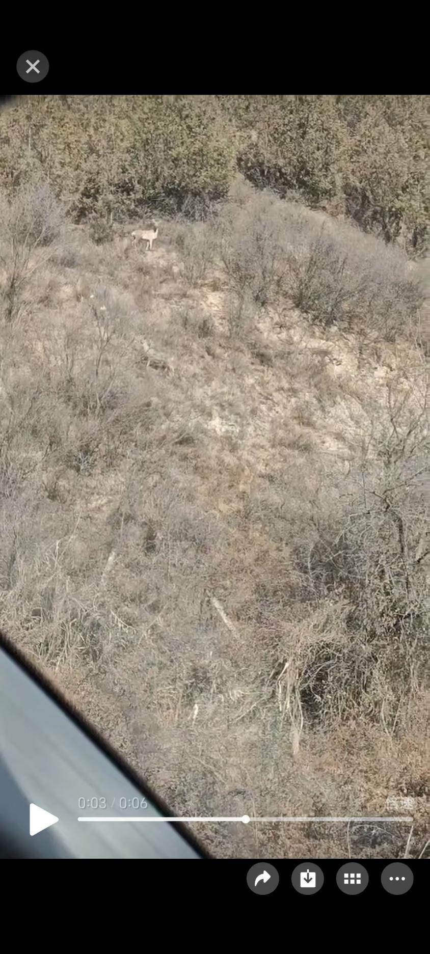 81f4f68ef8e5784794472ca4b029a333