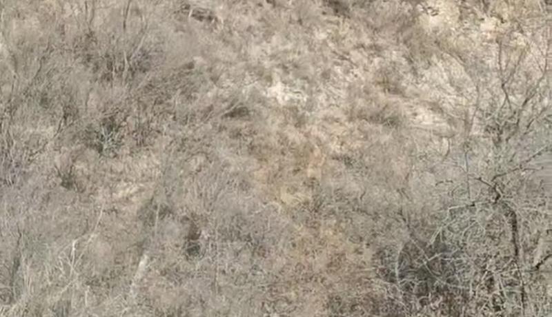 81f4f68ef8e5784794472ca4b029a333