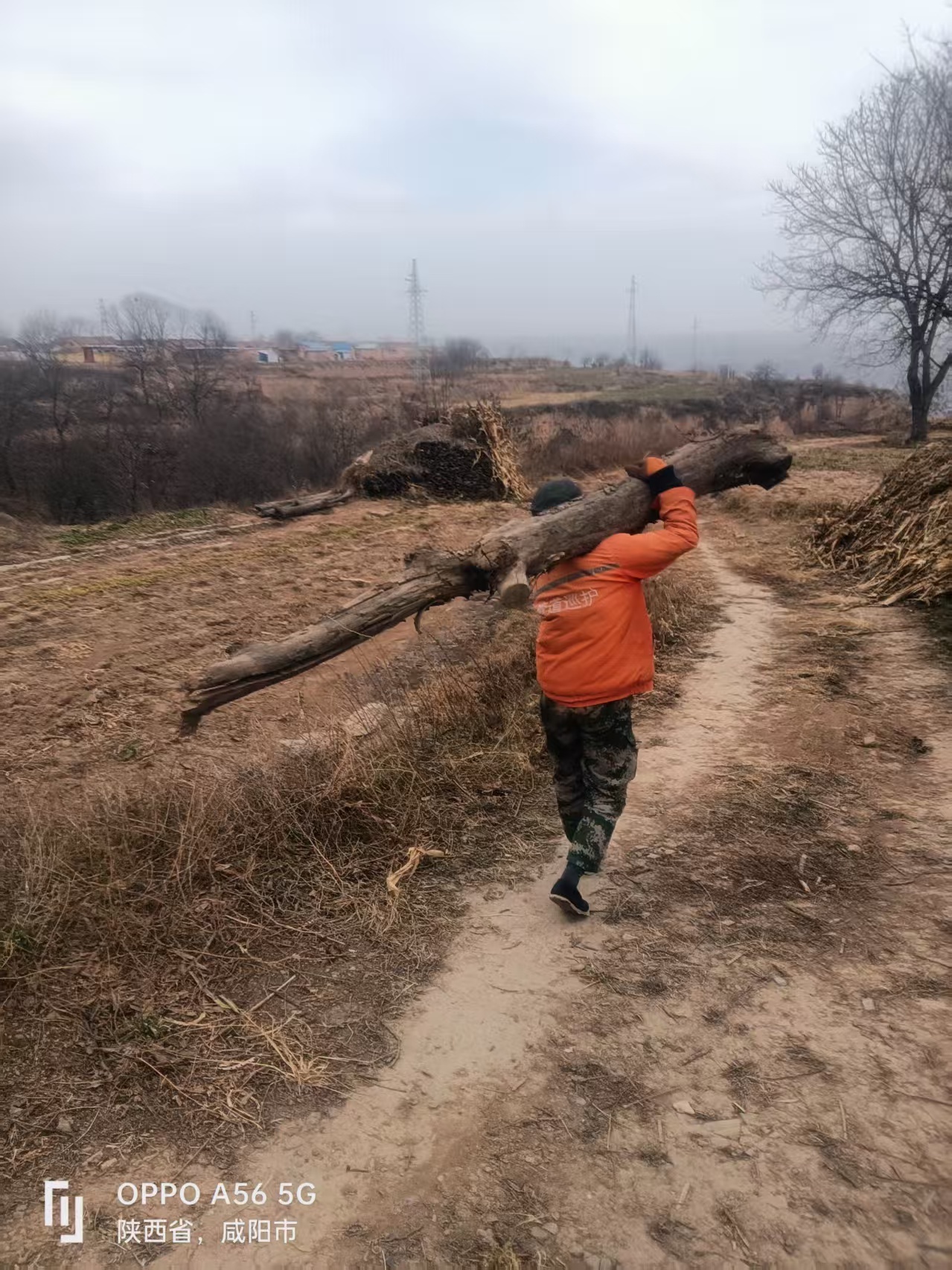 2dfbda16606c9f281495ffb0eea397f5