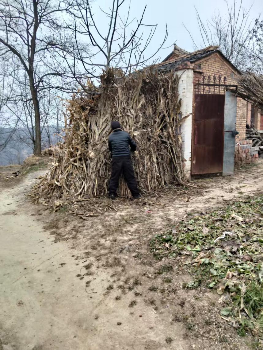 1eefec23849139c7b8f0b3bd04e4c2ab