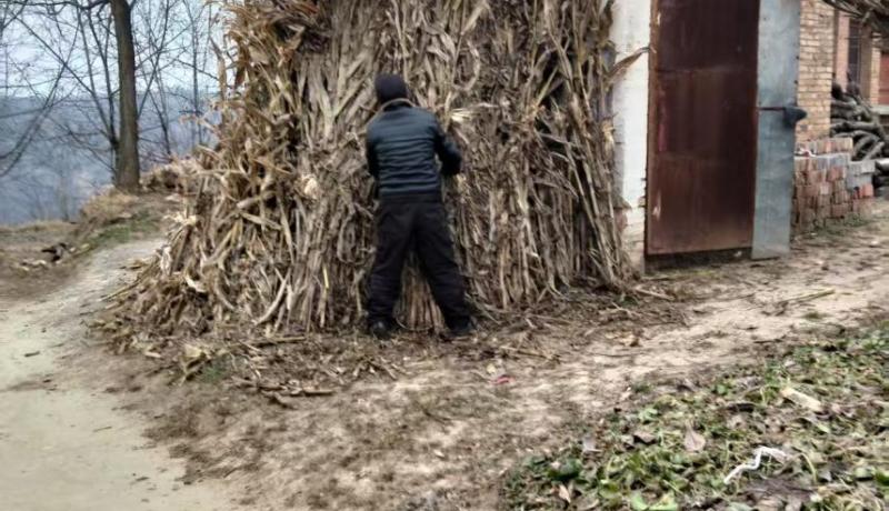 1eefec23849139c7b8f0b3bd04e4c2ab