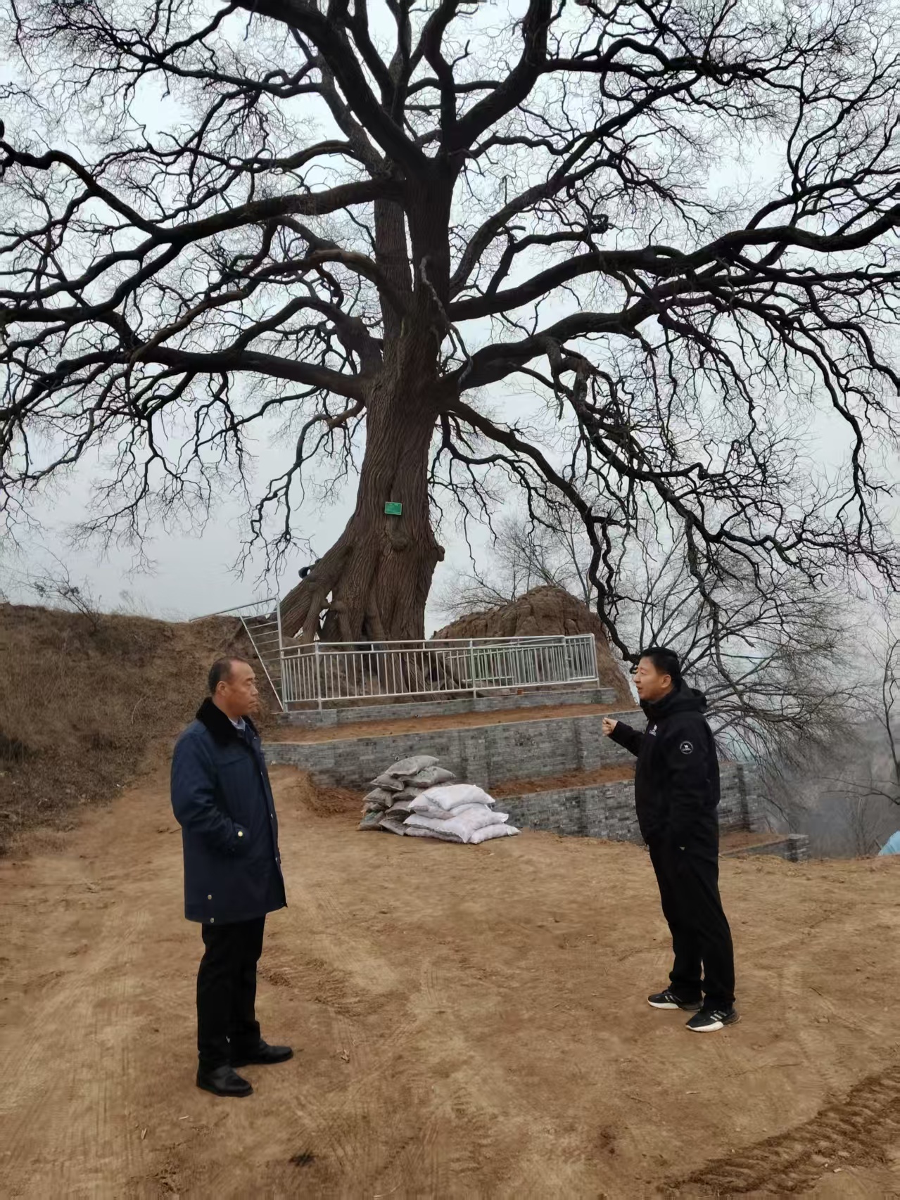 8928e10efe25ae5c6e9109a66ba90316