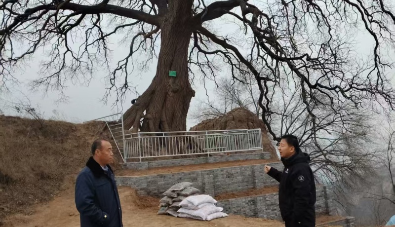 8928e10efe25ae5c6e9109a66ba90316