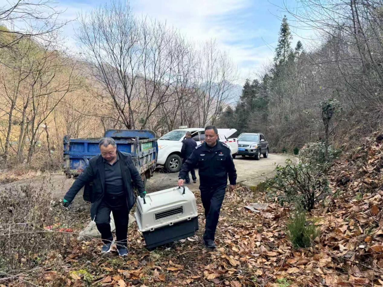 60452cb340f66eefd62f520804ab2616