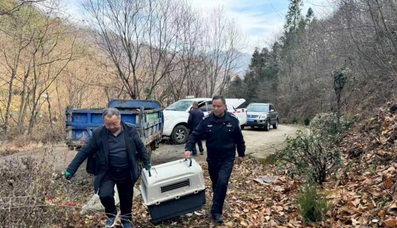 60452cb340f66eefd62f520804ab2616