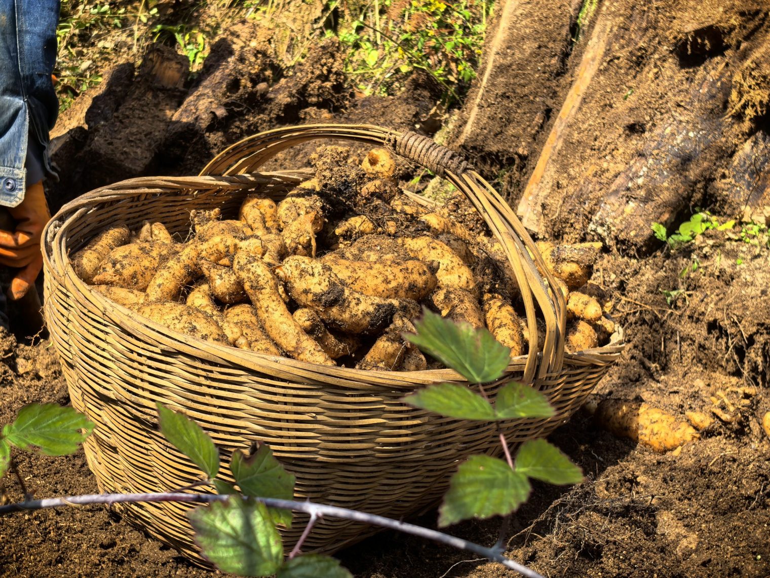 b91d6a49377fecfd51ec051f6c0678b2