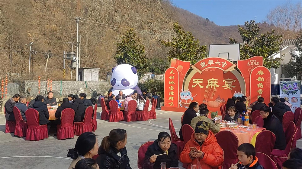 d72b2e9f2b750d78761ac2f46b0b8077