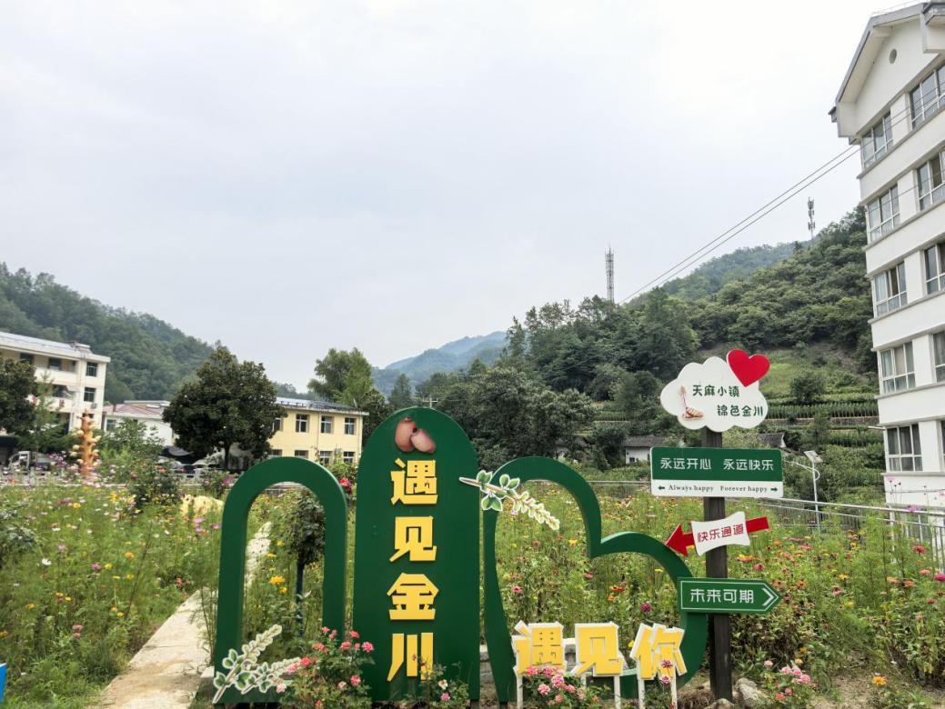 538f4a1c35cc2d8fda3b983fe4ac3a5f