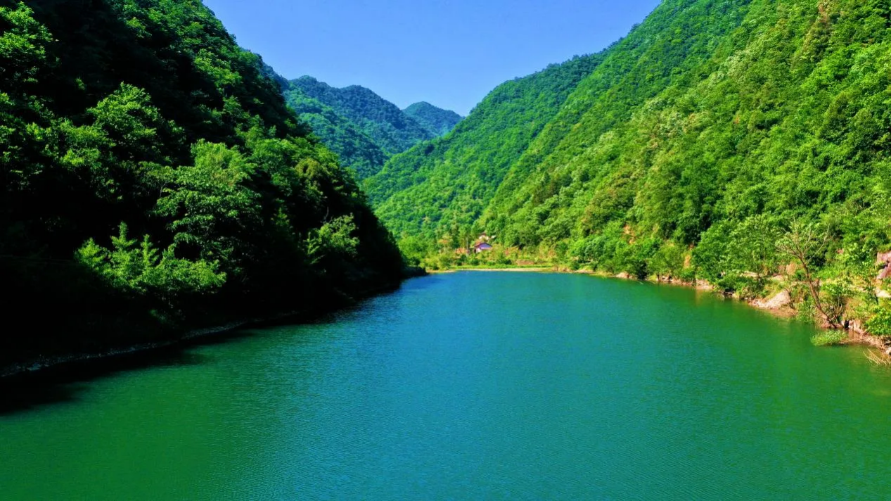 8b0b267e7e9d008a00d8072a091b9a9d