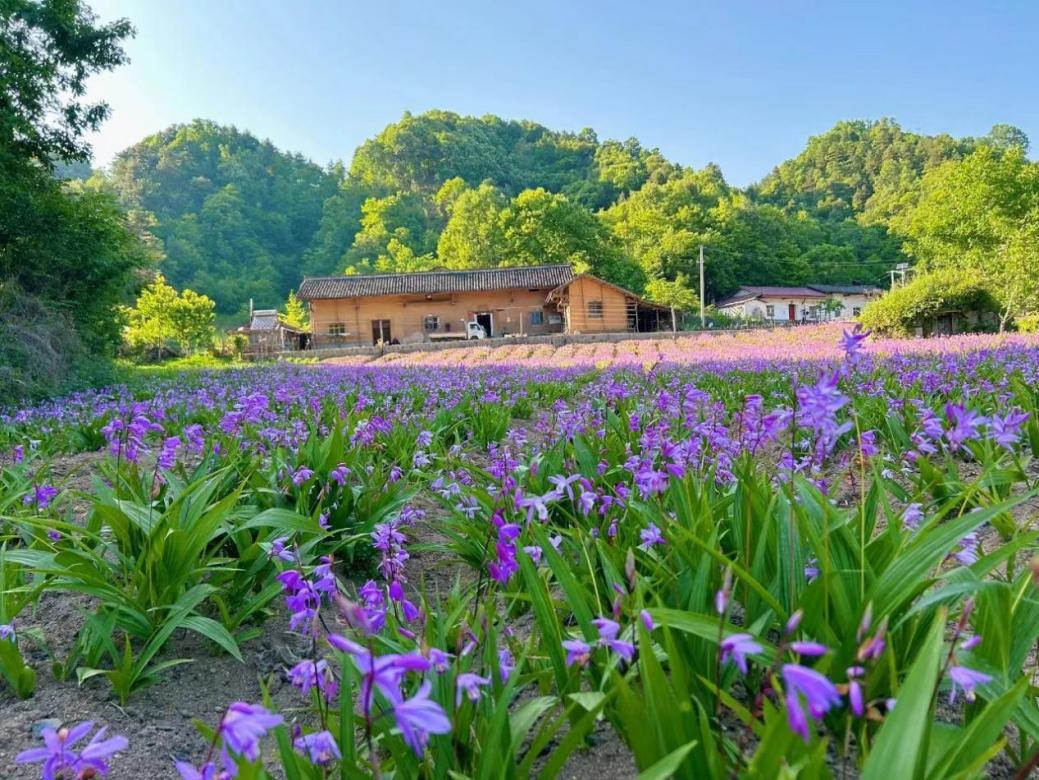 402e1b7e82f26f44ddf43bbd6859bded