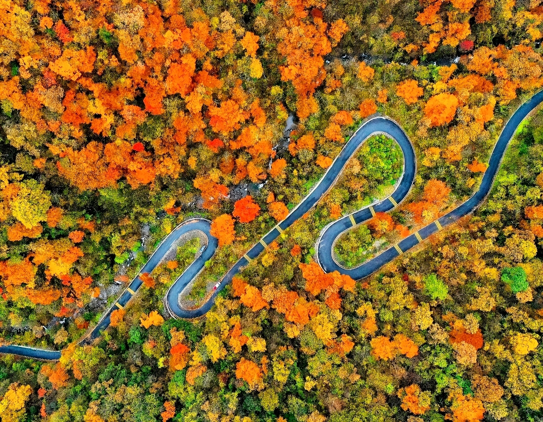 a57543af758bfb71803d0faf4ae43799