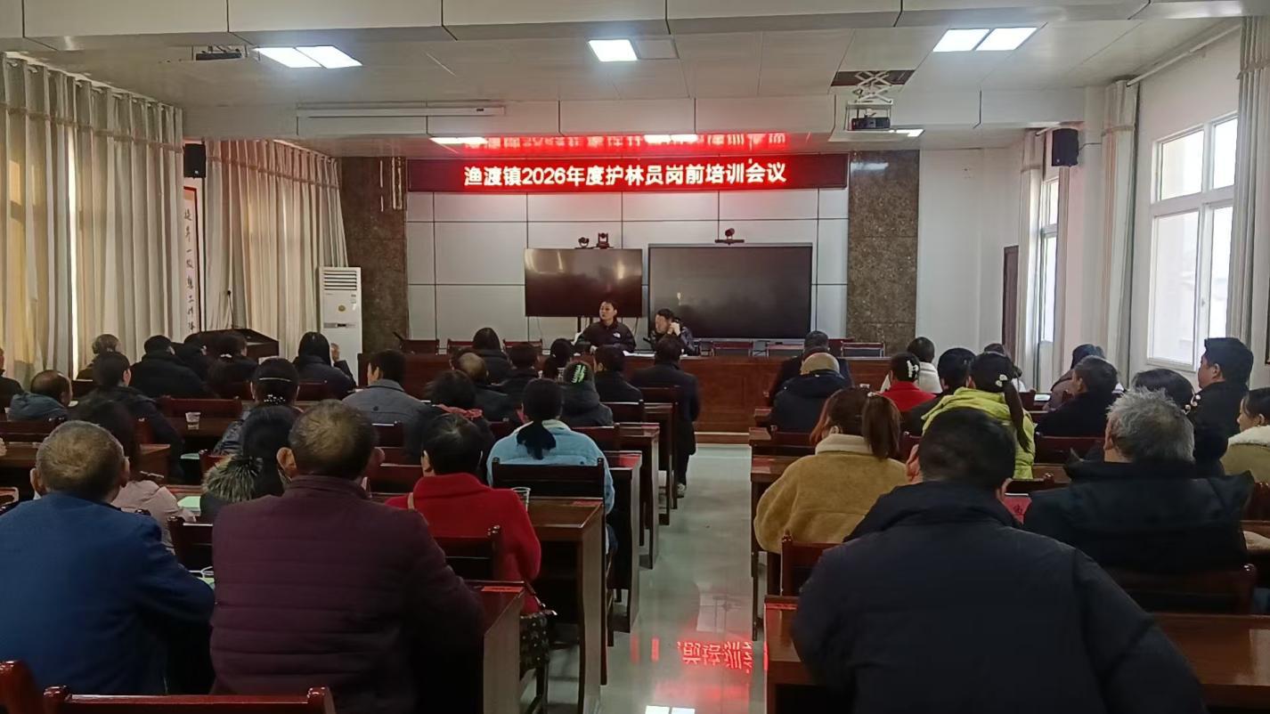 13bd4b7150399c30689067ff4d93c592