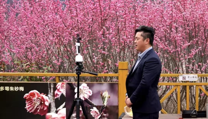 2c3baa05ac971a9acb94c0d9339bd138