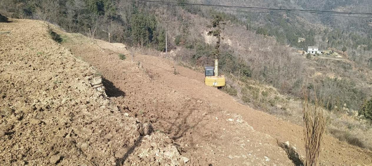 4130b999121ae62c2185c47b52b9686