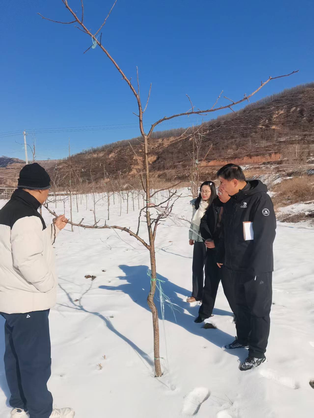 cc03cc98703265151a917ccaff14d1b4