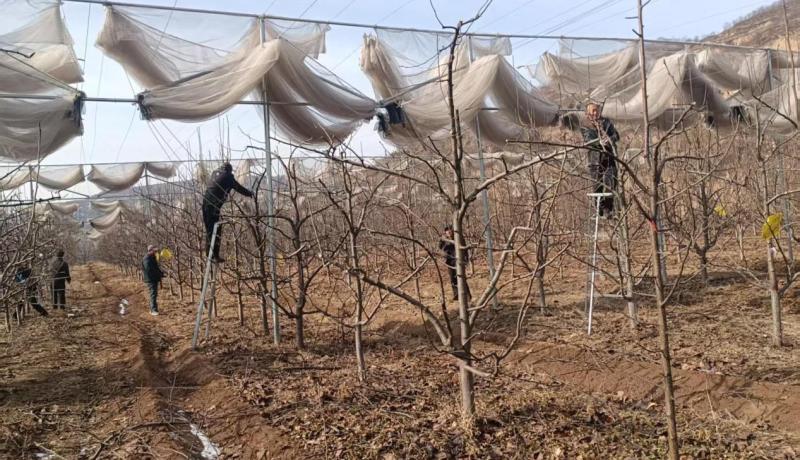 0aa5282ab80d88757f23857be38fcebe