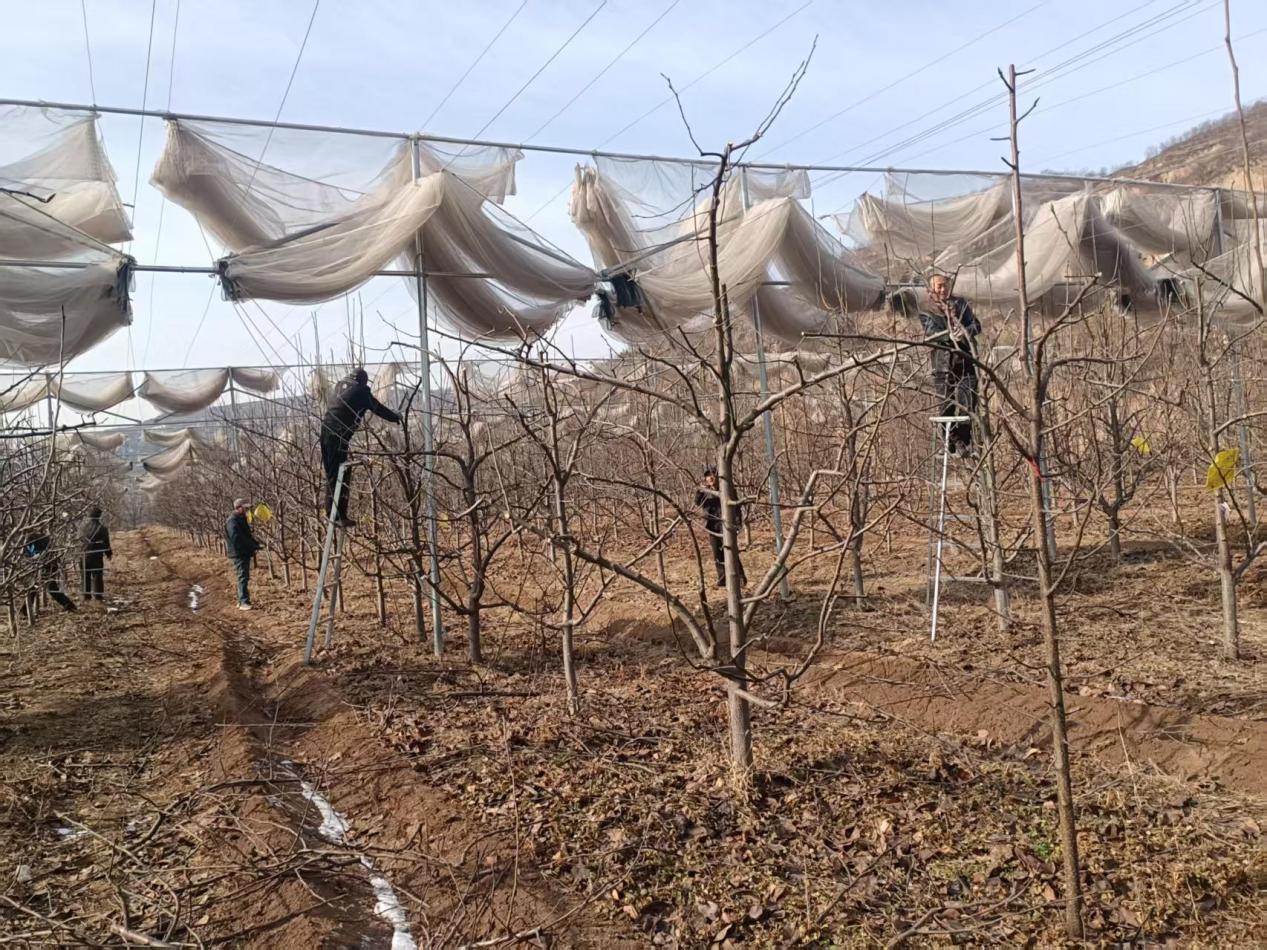 0aa5282ab80d88757f23857be38fcebe