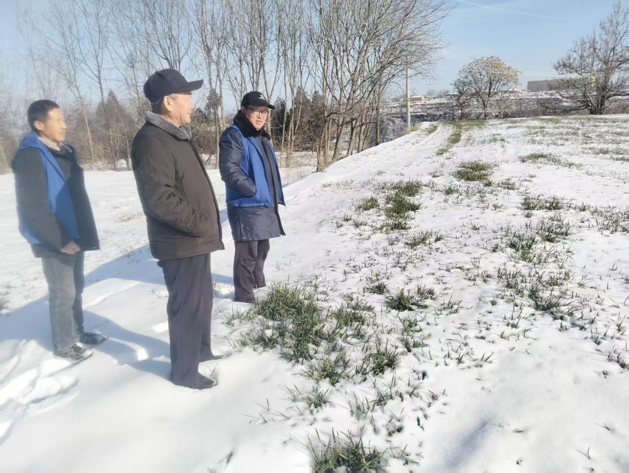 721b5026c52168ed85c9ea101ea78b18