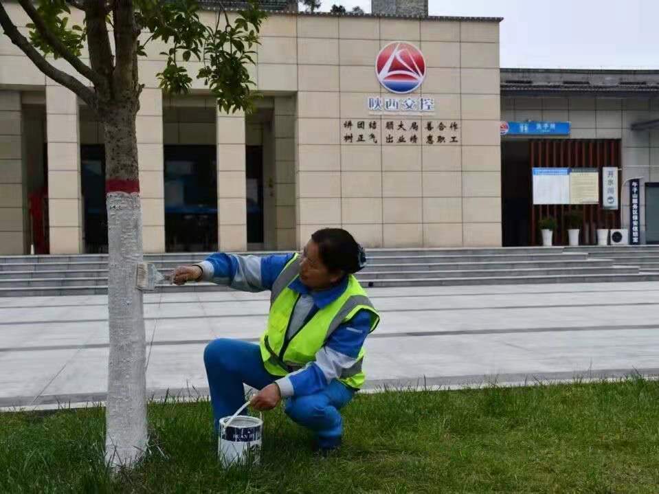 微信图片_20260201201221