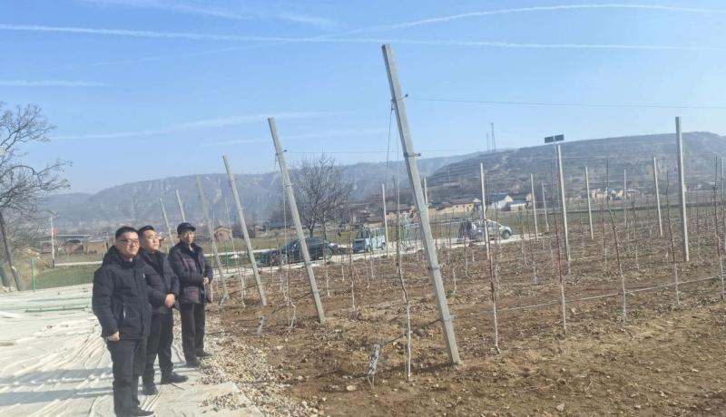 f84dfacc62afa4381fd5bd0382be7923